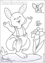 coloriage-lapin-3
